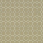 Clarence House Outdoor Fabric